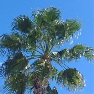 Meet your Posher, Bonnie